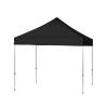 Carpa Alu 3 x 3 Set Canopy Color - 2