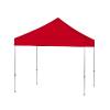 Carpa Alu 3 x 3 Set Canopy Color - 5