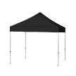 Carpa Canopy Color (12)