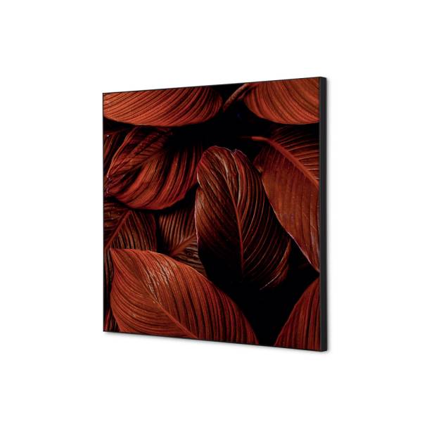 Decoración Textil de Pared SET 40 x 40 Hoja Botánica Roja