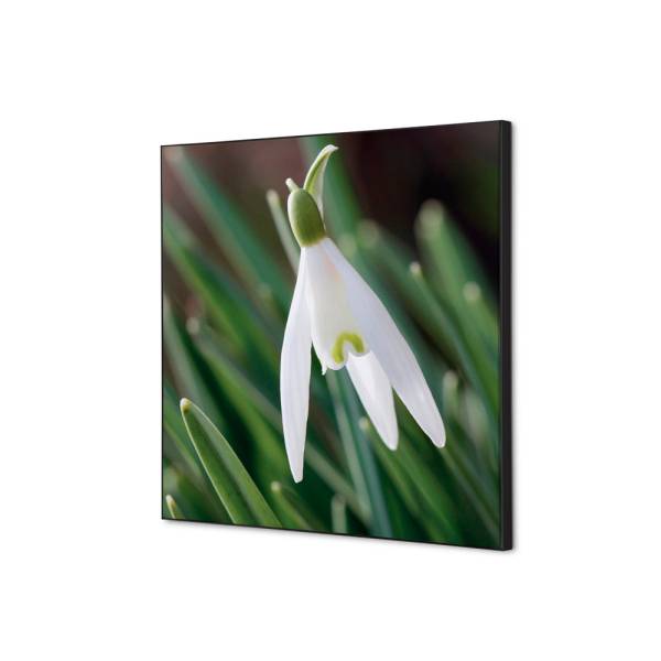 Decoración Textil de Pared SET 40 x 40 Flor Campanilla Invierno Blanca