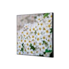 Decoración Textil de Pared SET Flor Blanca Spirea