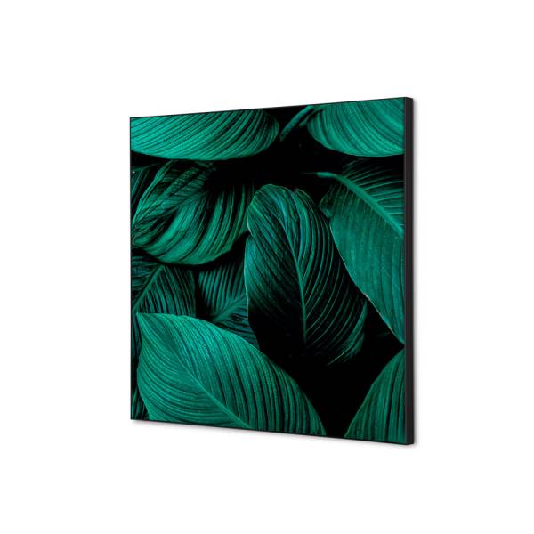 Decoración Textil de Pared SET Hoja Botánica