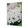 Decoración Textil de Pared SET Flor Blanca Spirea - 2