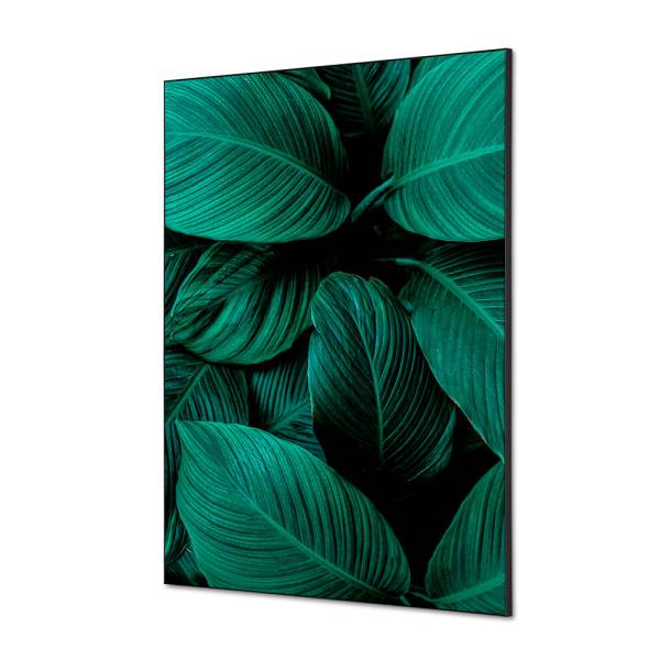 Decoración Textil de Pared SET A1 Hoja Botánica Verde