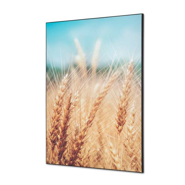 Decoración Textil de Pared SET A1 Campo de Grano