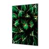 Decoración Textil de Pared SET A1 Cactus Azul - 5