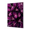 Decoración Textil de Pared SET 40 x 40 Cactus Morado - 7