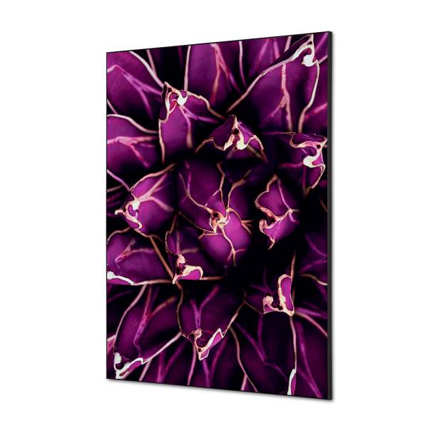 Decoración Textil de Pared SET A1 Cactus Morado