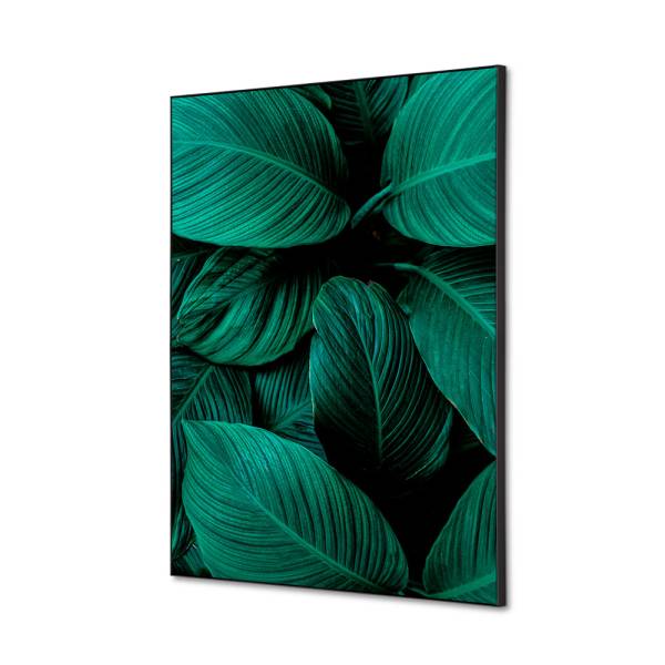 Decoración Textil de Pared SET A2 Hoja Botánica Verde