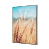 Decoración Textil de Pared SET Campo de Grano - 1