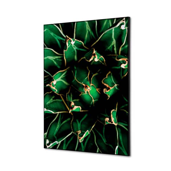 Decoración Textil de Pared SET A2 Cactus Verde