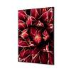 Decoración Textil de Pared SET A1 Cactus Rojo - 10