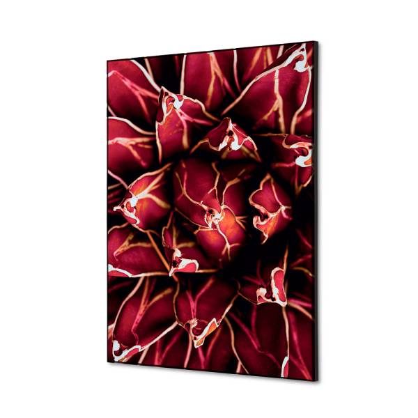 Decoración Textil de Pared SET A2 Cactus Rojo