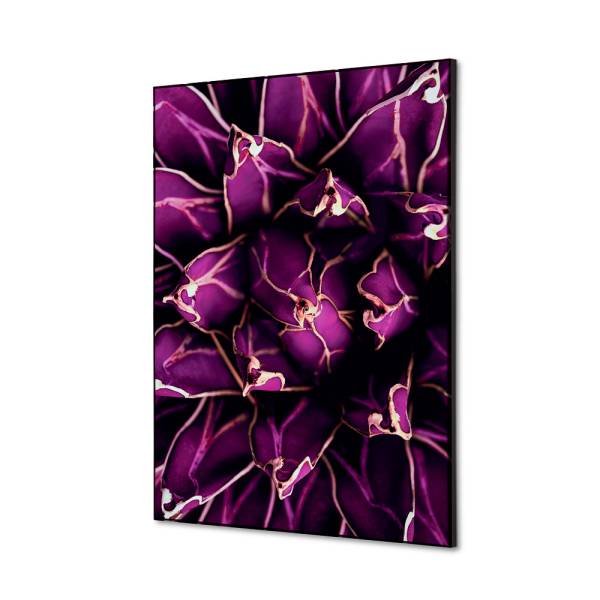 Decoración Textil de Pared SET A2 Cactus Morado