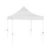 Carpa de acero 3 x 3 Set Canopy Negro - 5